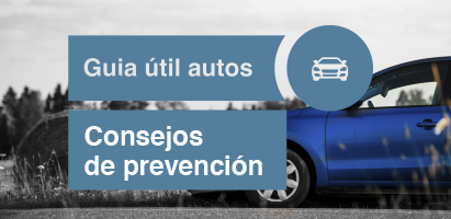 Guía útil autos - Consejos de prevención